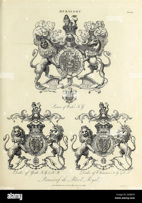 The Intriguing World of Armorial Bearings: A Comprehensive Guide