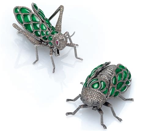 The Jewels of January: A Showcase of Exotic Bugs