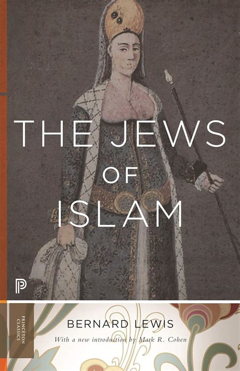 The Jews of Islam Updated Edition Princeton Classics Doc