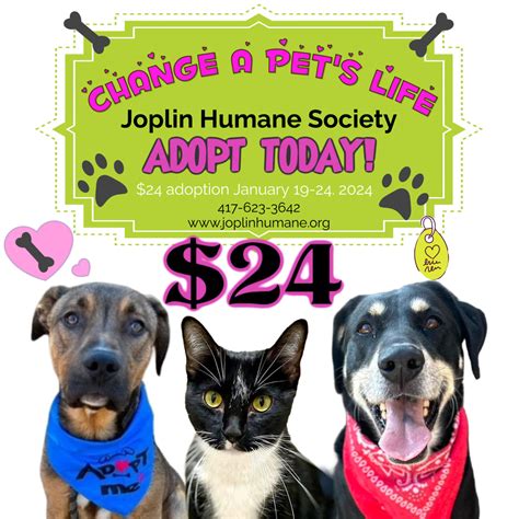 The Joplin Humane Society: A Lifeline for Animals in Need