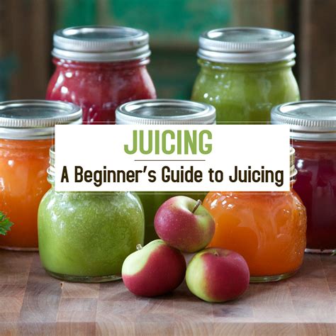 The Joy of Juicing Recipe Guide Kindle Editon