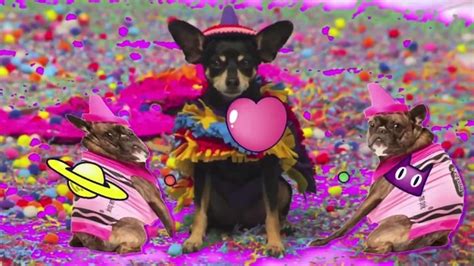 The Just Dance Chihuahua Costume: A Symbol of Unstoppable Energy