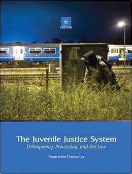 The Juvenile Justice System Delinquency Processing and the Law 6th Edition Kindle Editon