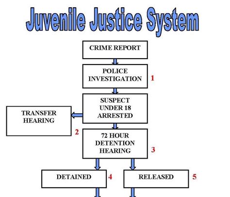 The Juvenile Justice System Law and Process PDF