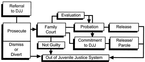 The Juvenile Justice System Law and Process PDF