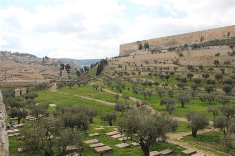 The Kidron Valley: A Historic and Biblical Landscape