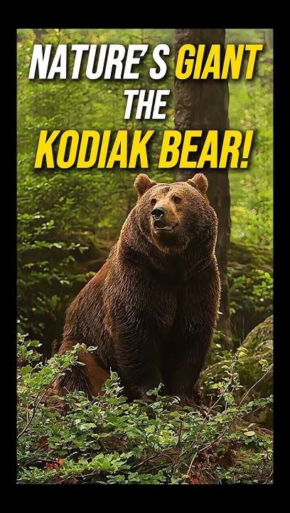 The Kodiak Bear: A Majestic and Enigmatic Giant