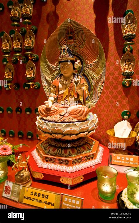 The Kwan Im Thong Hood Cho: A Comprehensive Guide to Bodhisattva Guanyin's Sacred Shrine