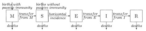 The LPSG-Hethcote Model: A Comprehensive Guide to Understanding and Controlling Epidemics