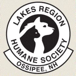 The Lakes Region Humane Society: A Comprehensive Guide to Animal Welfare in the Lakes Region