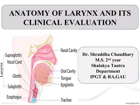 The Larynx A Multidisciplinary Approach Epub