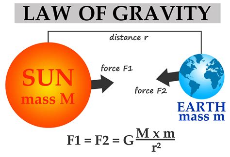 The Laws of Gravity Doc