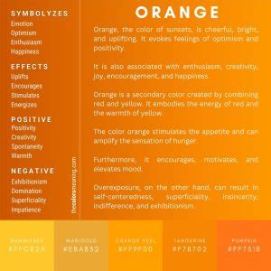 The Legacy of Orange: From History to Symbolism