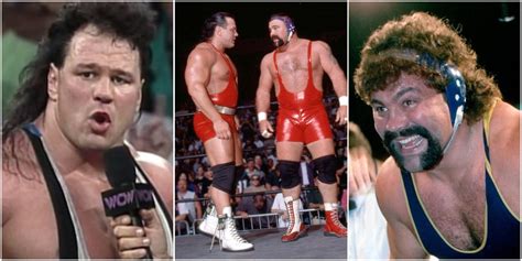 The Legacy of the Steiner Brothers