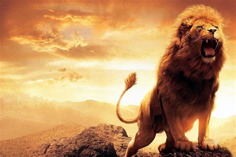 The Lion's Roar: Leo's Fiery Nature