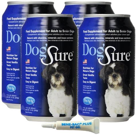 The Liquid Diet for Dogs: A Comprehensive Guide