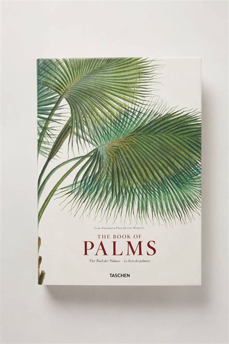 The Little Palm Book PDF