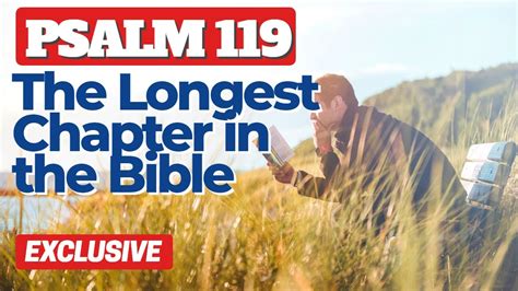 The Longest Chapter in the Bible: Psalm 119