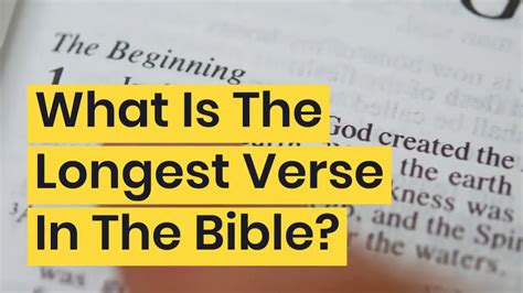 The Longest Verse in the Bible: A Comprehensive Guide