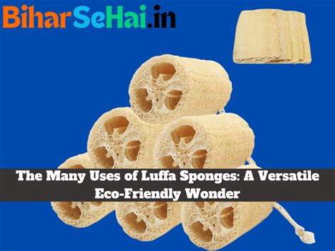 The Loofah: A Sustainable and Versatile Natural Wonder