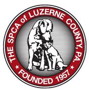 The Luzerne County SPCA: A Haven for Animals in Need