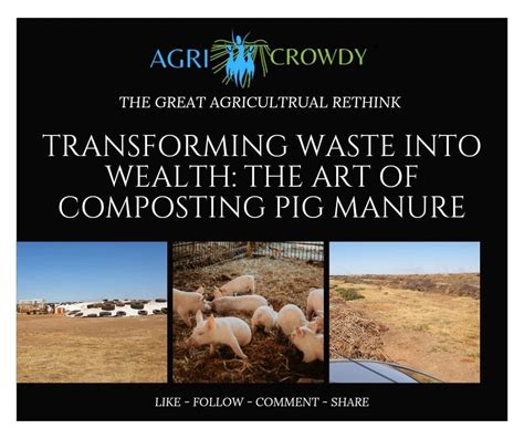 The Magic of Manure: Transforming Waste into Wealth