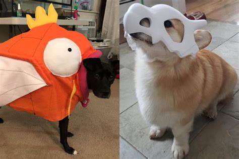 The Magic of Pokémon Dog Costumes