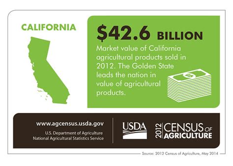 The Magnitude of California's Agricultural Industry