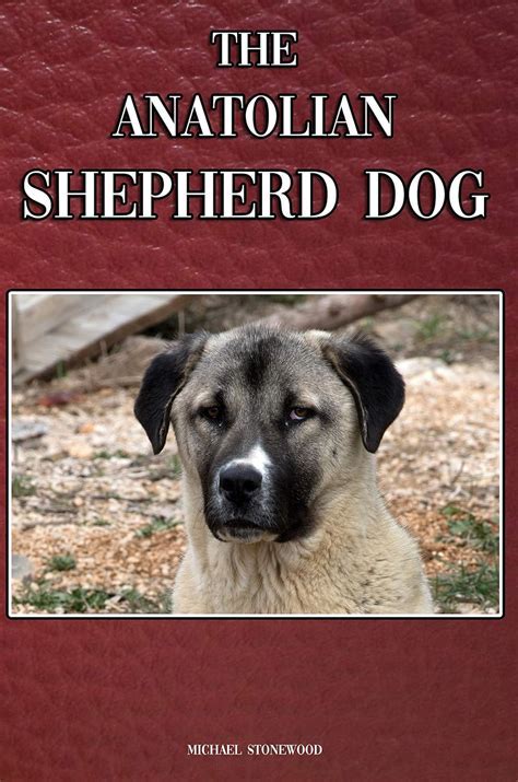 The Majestic Puppy Anatolian Shepherd: A Comprehensive Guide to Caring for Your Canine Companion