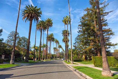 The Management Landscape in Los Angeles