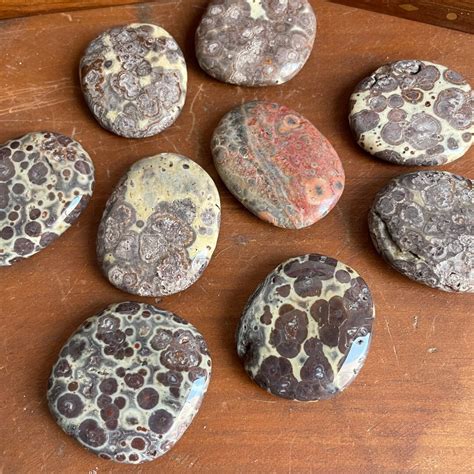 The Many Facets of Leopard Jasper