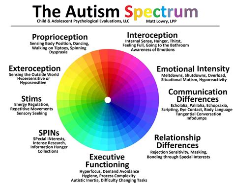 The Many Shades of Autism: Understanding the Spectrum