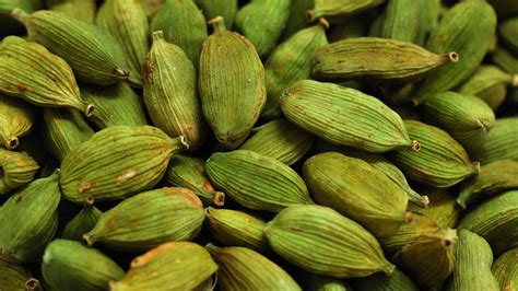 The Marvelous World of Cardamom: Unraveling Its Unique Charm and Versatility