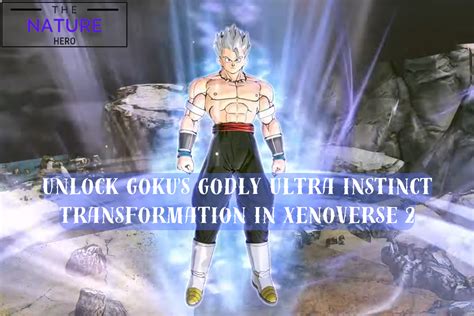 The Mastery of Ultra Instinct: A Godly Transformation