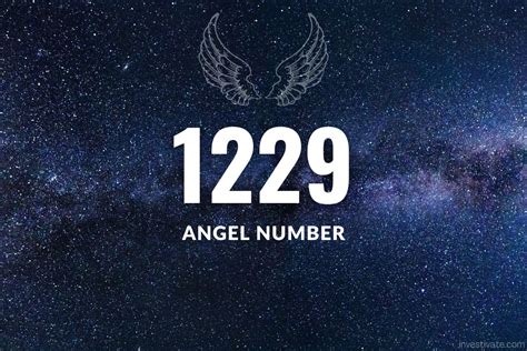 The Meaning of 1229 Shine