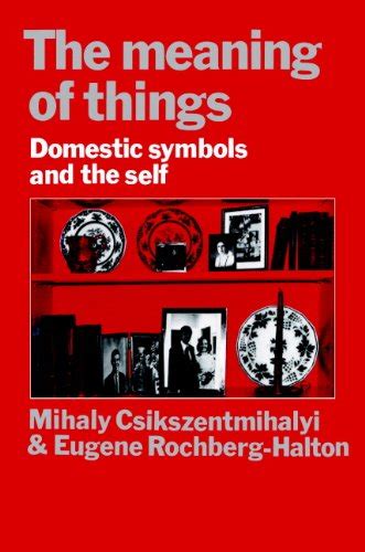 The Meaning of Things Domestic Symbols and the Self PDF