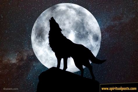 The Meaning of the Wolf Howling at the Moon