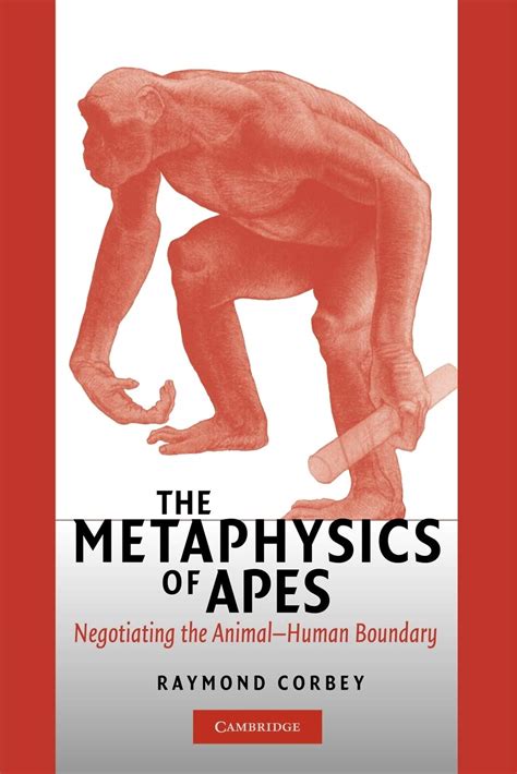 The Metaphysics of Apes Negotiating the Animal-Human Boundary PDF