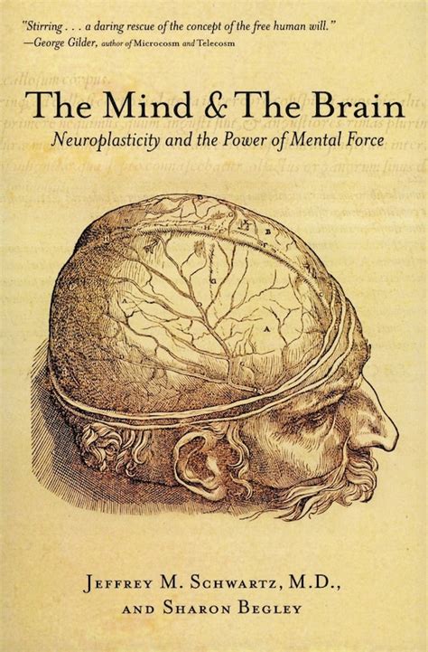 The Mind and the Brain Neuroplasticity and the Power of Mental Force PDF