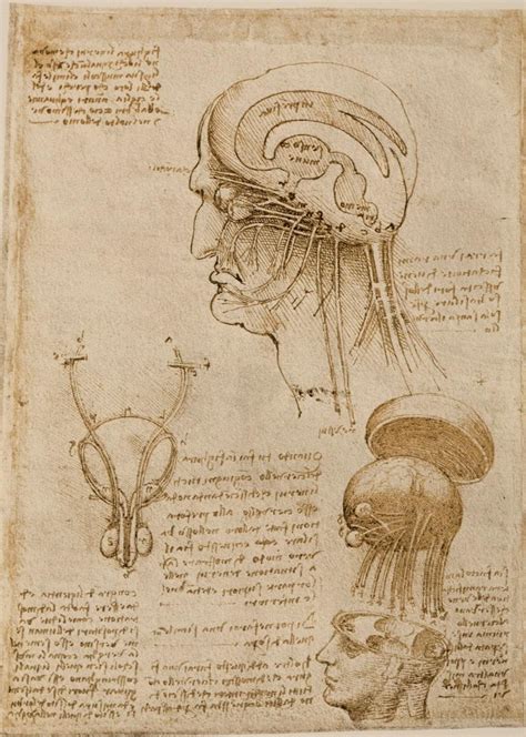 The Mind of Leonardo Da Vinci PDF