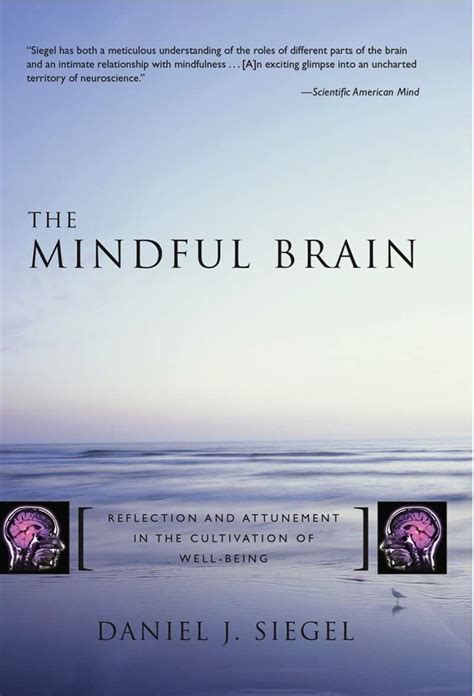 The Mindful Brain: Reflection and Attunement in the Cultivation of Well-Being Reader