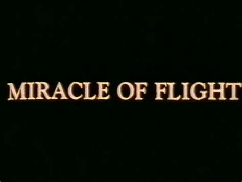 The Miracle of Flight 777