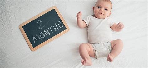 The Miracle of Life: Your Baby's Journey at 2 Months