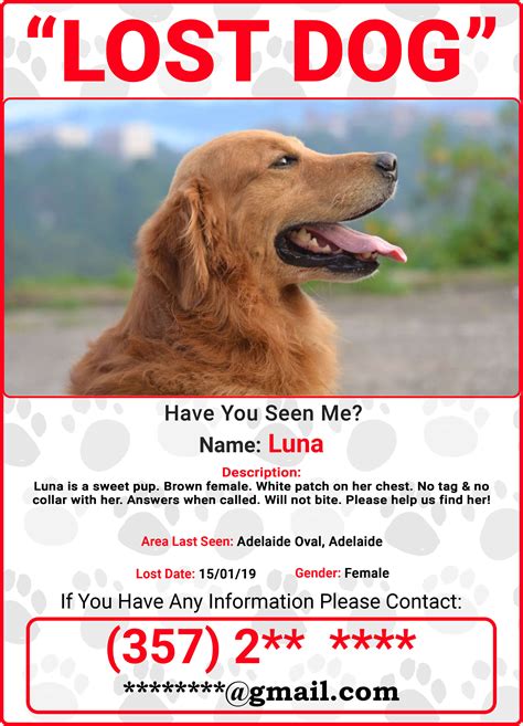 The Missing Dog: