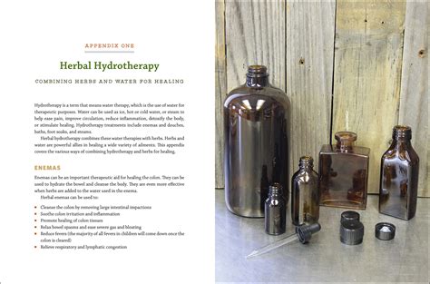 The Modern Herbal Dispensatory A Medicine-Making Guide PDF