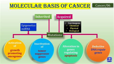 The Molecular Basis of Cancer PDF