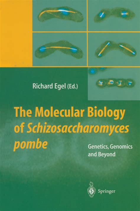 The Molecular Biology of Schizosaccharomyces pombe Genetics, Genomics and Beyond 1st Edition Reader