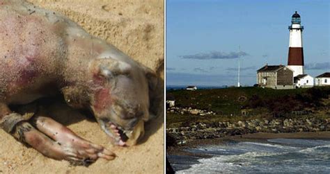 The Montauk Monster Epub