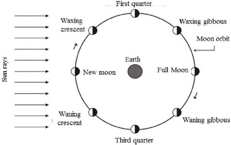 The Moon's Orbit and Phases