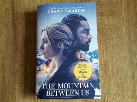 The Mountain Between Us A Novel Epub